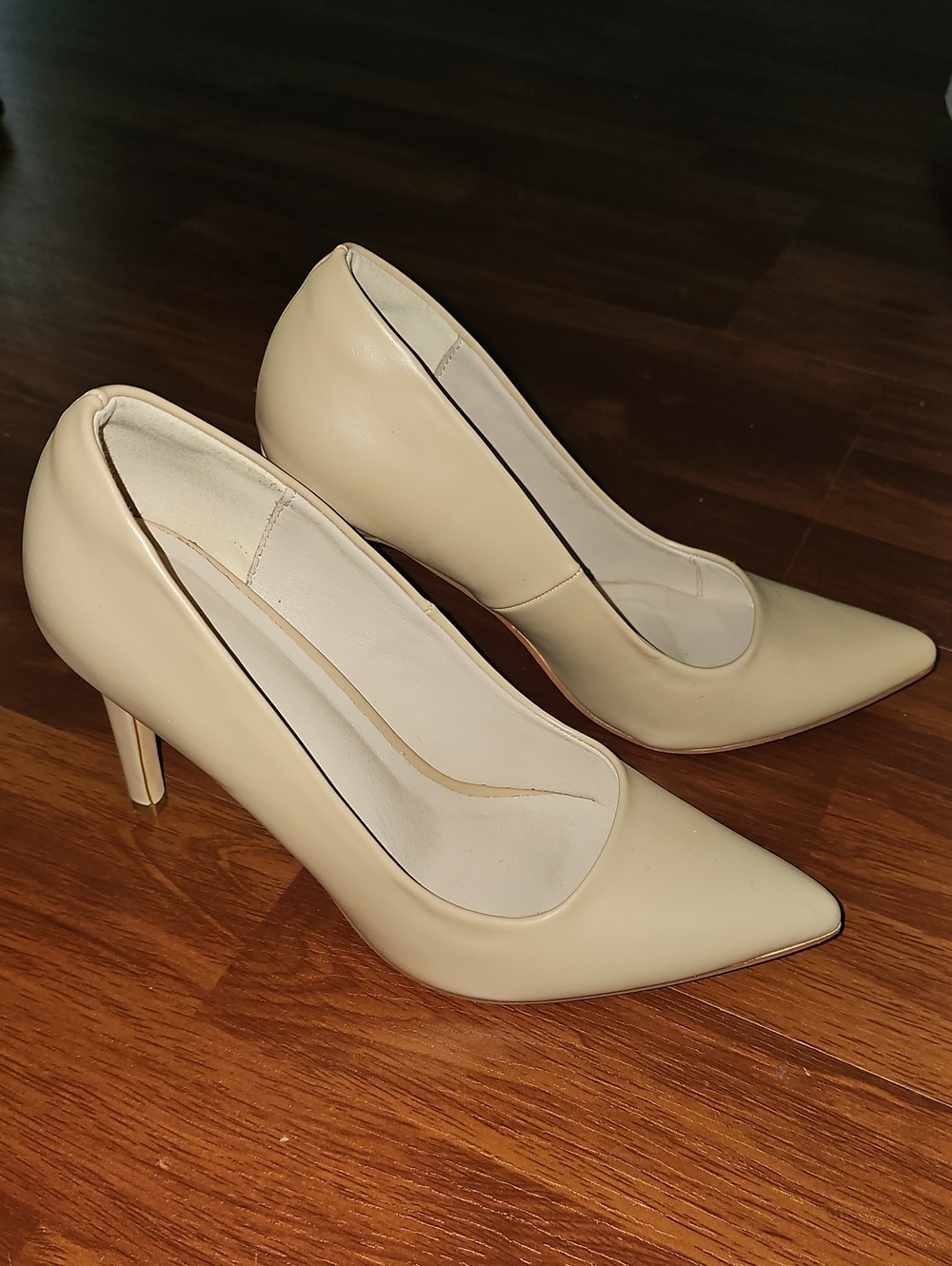 Classic Pointed Toe High Heels in Nude